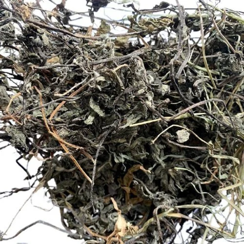 BHRINGRAJ SABUT ammazi