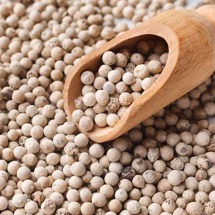 DAKHNI (SAFED) MIRCH