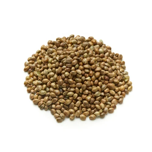HEMP SEED BHANG ammazi