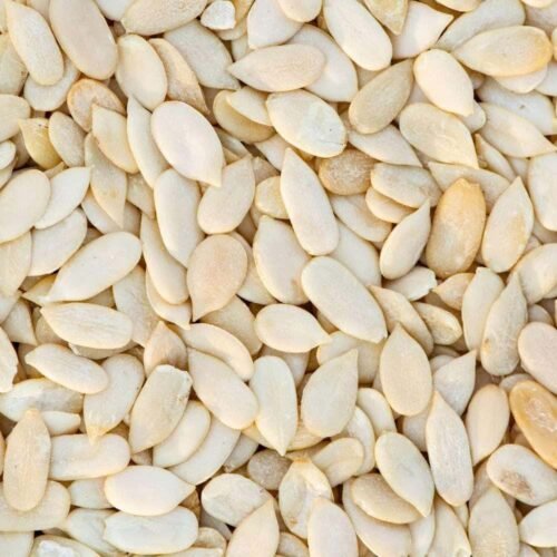 KHARBUUJA  MUSK MELON SEEDS