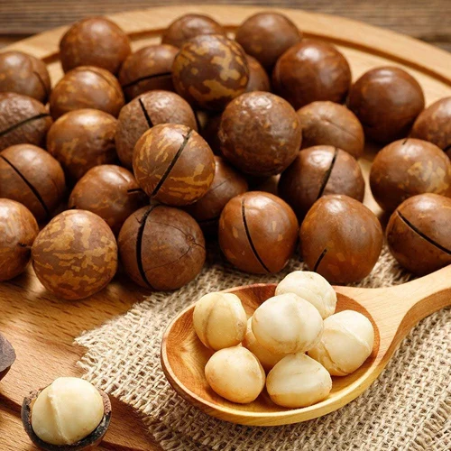 MACADAMIA NUTS